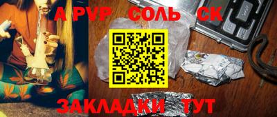 прущие грибы Нальчик
